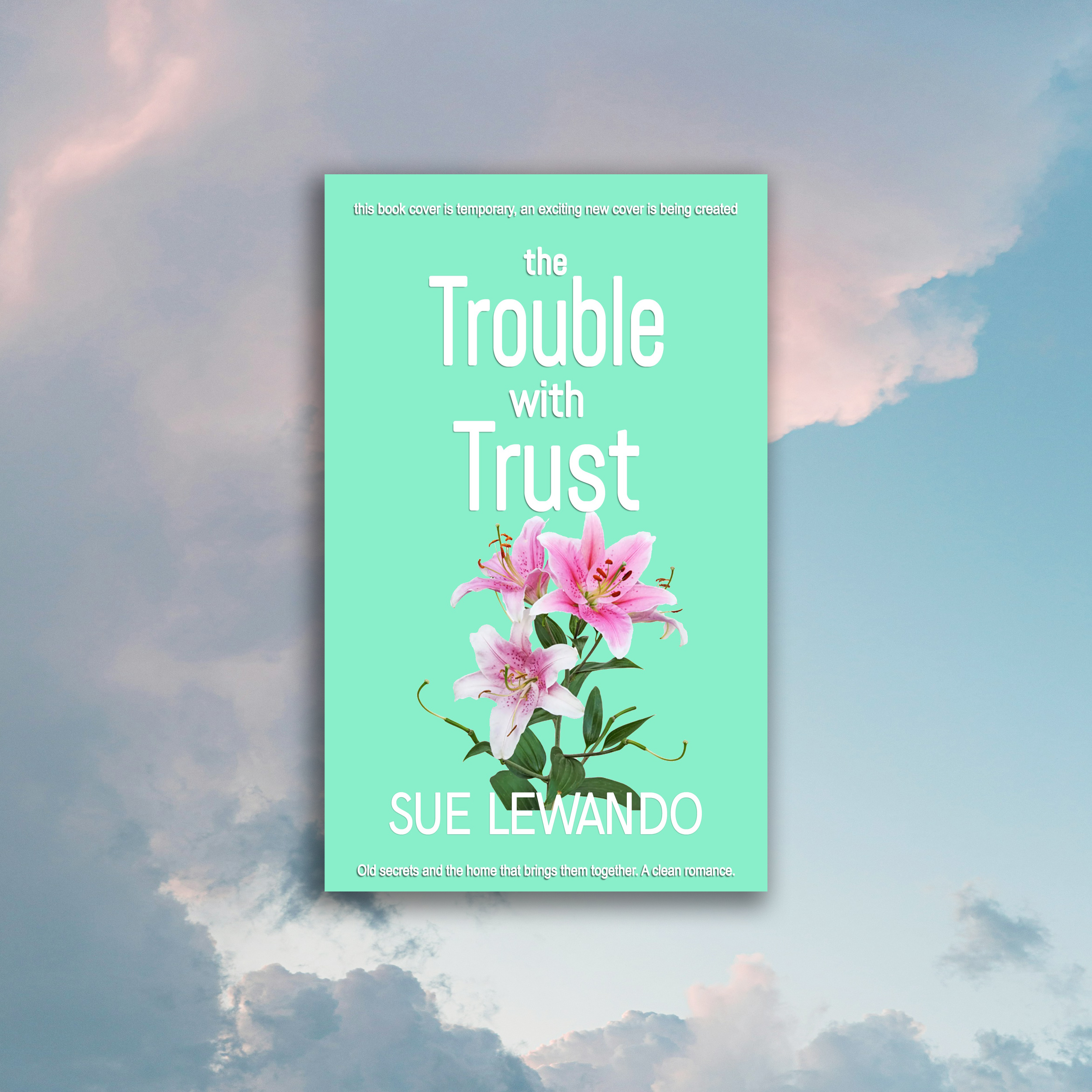 The Trouble with Trust